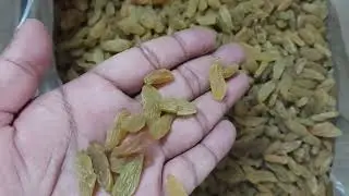 Long golden Raisins Kishmish | Lot no - PRB16 | NR Farm Product Company Kishmish producer & supplier
