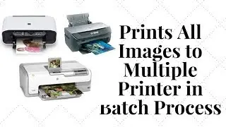 How to Prints all Images to Multiple Printer in Batch Process