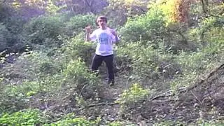 A Lively Walk Through Burnett Woods