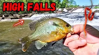 High Falls State Park...Worth Going? (Jackson, GA)
