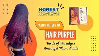 I dyed my Hair Purple! Honest Review- Amethyst Plum | Birds of Paradyes! 