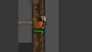 Prison Architect побег из тюрьмы 