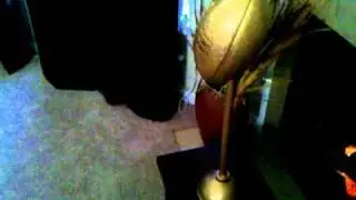 Fantasy Football Loser Trophy