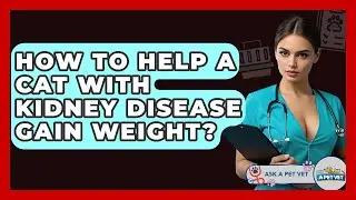 How To Help A Cat With Kidney Disease Gain Weight? - Ask A Pet Vet