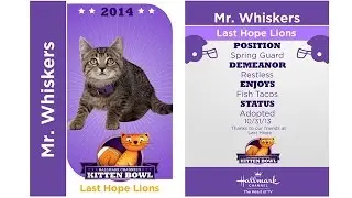 Kitten Bowl I - Mr. Whiskers - Player Profiles