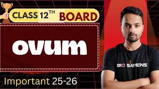 Ovum  | Ovum class 12th | structure and function of ovum