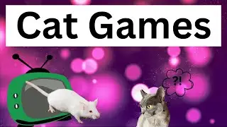 Rats Chase Toy 🐀 | Cat Games | Video for Cats | Cat TV  (2023)