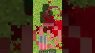 How To Get Extra Hearts in Minecraft