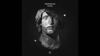 Phunkadelica - Phunkool [Multinotes]