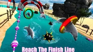 Dolphin Racing Simulator 3D Android Gameplay