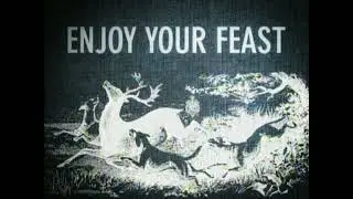 [Adult Swim] Enjoy Your Feast - Deer - Bump