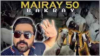 Е ХАЙН МАЙРАЙ 50 БАКРАЙ | БАКРАЭИД 2021