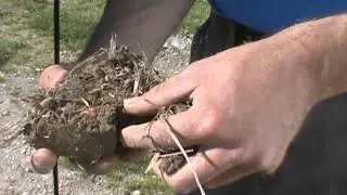 Sidewall Compaction Tips