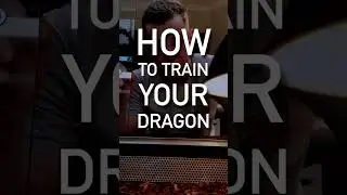 How to train your savannah monitor day 1