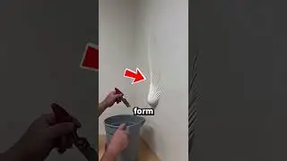 Why You Should Never Pop Wall Bubbles! 😲