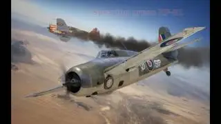 Grumman Martlet Mk.IV Painting