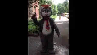 #IceBucketChallange от Кота Ученого