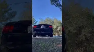2002 Mustang GT stock exhaust with stock 2003 Mach I exhaust note