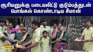 பொங்கல் 2026 : சூரியனுக்கு படையலிட்டு குடும்பத்துடன் பொங்கல் கொண்டாடிய நாம் தமிழர் சீமான்