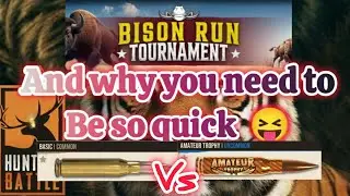 Hunting Battle • Bison Run Demo • different ammo compared • best mobile sniping game?