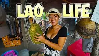 This is Village Life at Kuang Si Falls | LUANG PABANG LAOS 🇱🇦