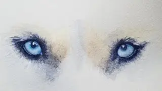 How to Paint Blue Dog Eyes in Watercolor - Husky
