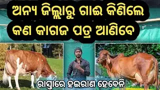 Necessary Documents required while Buying Cow from Other Districts in Odisha 