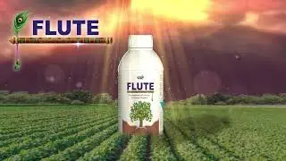 GSP Flute - For More Flowering & Growth Retardant