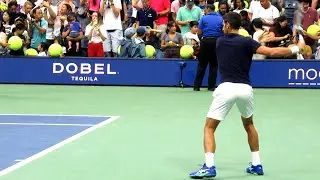 Novak Djokovic Forehand Technique [Slow Motion]