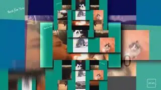 Copy of YTPMV YTPMV Funny Cats Vine Compilation September 2015 Scan Scan