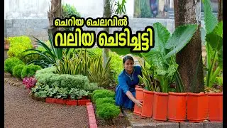 ചെറിയ ചെലവിൽ വലിയ ചെടിച്ചട്ടി   PONSY GARDEN TRANSFORMATION  🌳🌻🌸 | GARDEN MAKEOVERPONSY KITCHEN53.8K