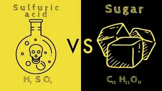 sulfuric acid vs sugar time-lapse