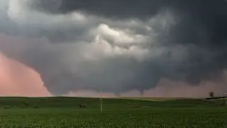 LAUREL TORNADO by STEPHEN LOCKE