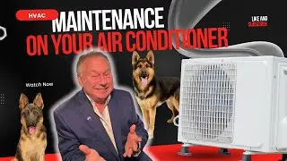 Crucial HVAC Tip: Regular Dog Owners Must Know