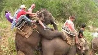 Just for Laughs Gags 2016 - Funny Videos