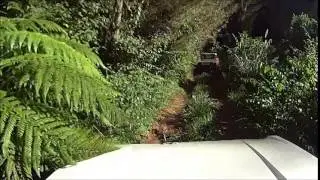 Tect Park Video