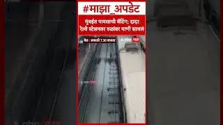 Dadar Station Waterlogging : मुंबईत पावसाचं थैमान; दादर रेल्वे स्टेशनवर रुळांवर पाणी साचलं