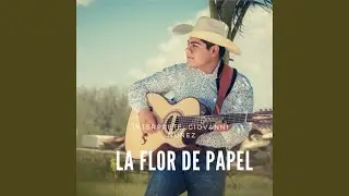 No puedo volver contigo