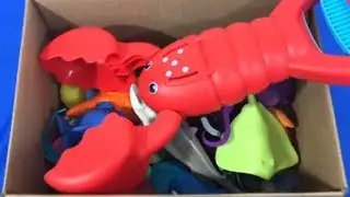 Box of Toys Learn Sea Animals Names Learn Colors Box Full