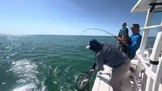 Girl catches huge black drum! Call us to book your next adventure 302-500-2775