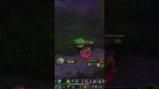 ⚡️1v1 FULL BiS R13 Feral Druid Atiesh⚡️#worldofwarcraft #wowclassic #classicwow #gaming #pvp #druid