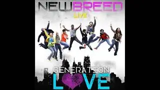 New Breed  - I Receive Your Love