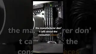 The 