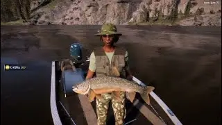 D&eacute;fis p&ecirc;che Argent. 1 & 2 X 4. Silver Challenge fishing. Golden Ridge. Call of the wild. The angler.