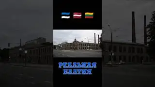 Первая фанера империи: ревельская фабрика Лютера