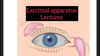 Lacrimal apparatus lectures part 1, Eye lectures #eye #jatoi #lacrimalgland #eyelectures