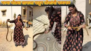 😀🐍भल्या मोठ्या सापाला पाहून लोकांची पळापळ झाली🐍😀