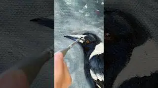 A quick look at my oil painting process Magpie art