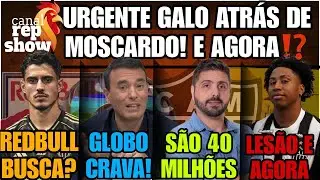 👀GALO QUER MOSCARDO?⚫REDBULL BUSCARA?🔝GLOBO CRAVA🌟40 MILHÕES A MENOS🛑LESIONADO🌟 HULK GALO NOTÍCIAS