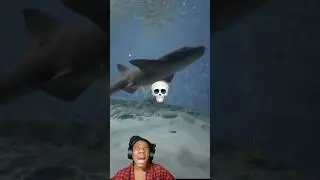 No cometas el mismo error ‼️😳🦈 #dibudomi #speed